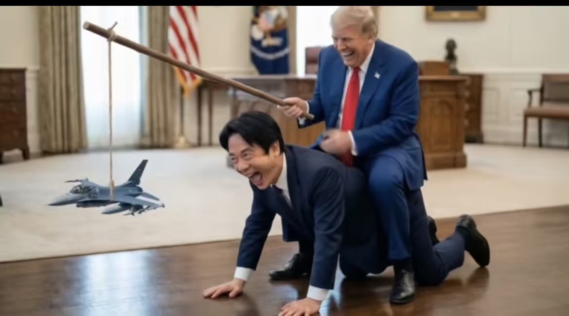 照片 7