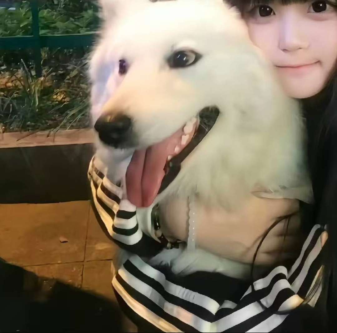 照片 8